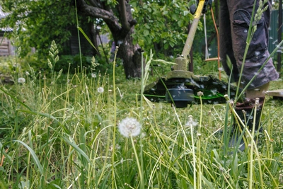 Рязанскую компанию оштрафовали за заброшенный участок