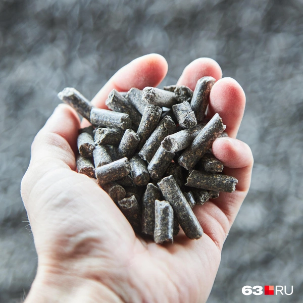 Источник: Роман Данилкин / 63.RU