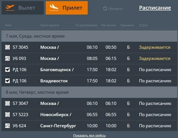 В настоящее время задерживается прибытие и отправление четырех московских рейсов | Источник: скриншот с сайта аэропорта Читы