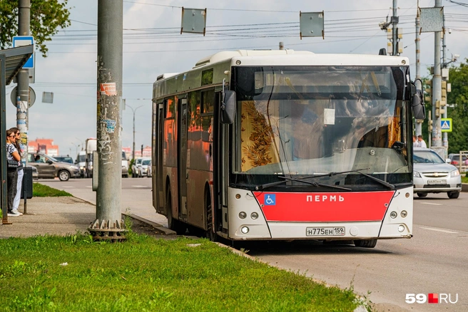 Автобусы пустят в объезд из-за ремонта тепловых сетей | Источник: Тимофей Калмаков / 59.RU