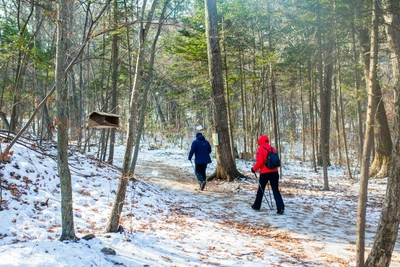 В Чите частично открыты леса для прогулок