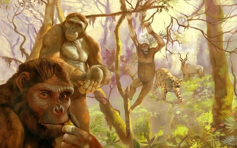 Так всё же от таких обезьян? Ученые выдали еще аргументов в пользу африканского происхождения человека