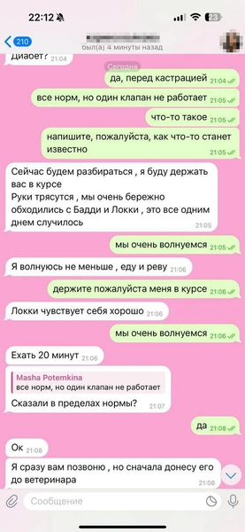 Но вскоре Мария не смогла участвовать в разговоре из-за нахлынувших чувств | Источник: Родион Проводин