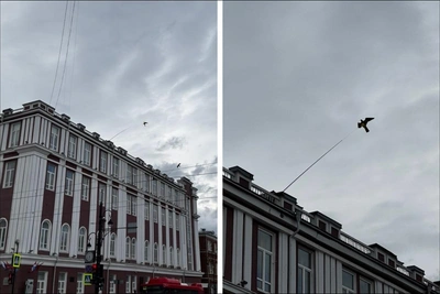 Пермская мэрия установила гигантских птиц для отпугивания голубей