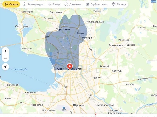 Дождь в 30-градусную жару порадовал петербуржцев. Но не всех | www.fontanka.ru