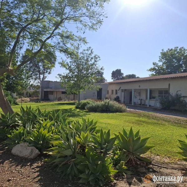 Источник: Ирина Багликова / «Фонтанка.ру»