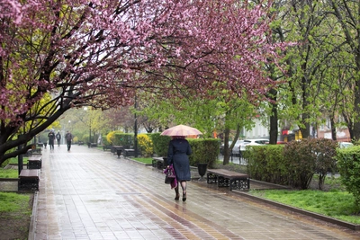 7 апреля в Ростове прогнозируют грозы и заморозки