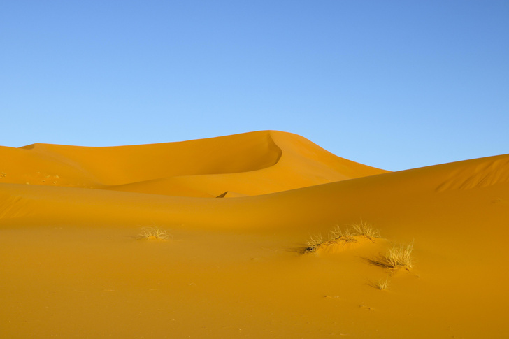 На мокром месте: 9 поразительных фактов о пустыне Сахара, ее песке и… воде