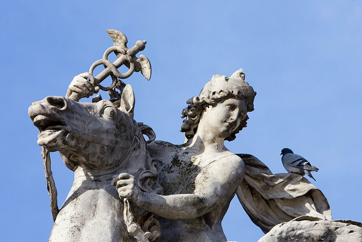 В Париже назревает скандал из-за голубей
