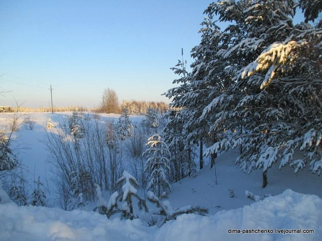 Ми-6 упал вот в этот овраг | Источник: dima-pashchtnko / LiveJournal