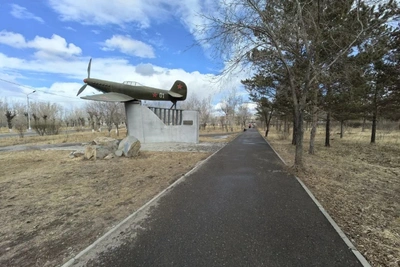 Мечта, счастье, динозавры: лидеры голосования