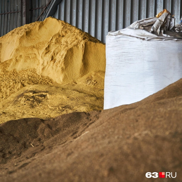 Источник: Роман Данилкин / 63.RU