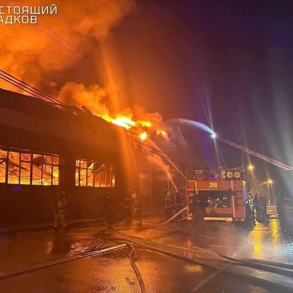 Источник: «Настоящий Гладков» / Telegram