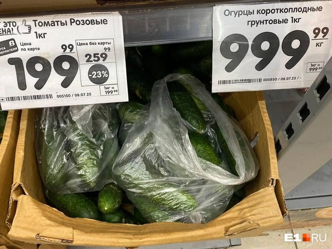 Пугающий ценник повесили на огурцы 8 июля | Источник: Ирина Порозова / E1.RU