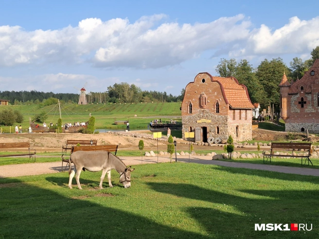 Источник: Серафима Путиева / MSK1.RU