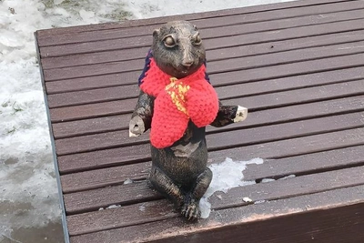 В Волжском задержали вандала, изувечившего суслика