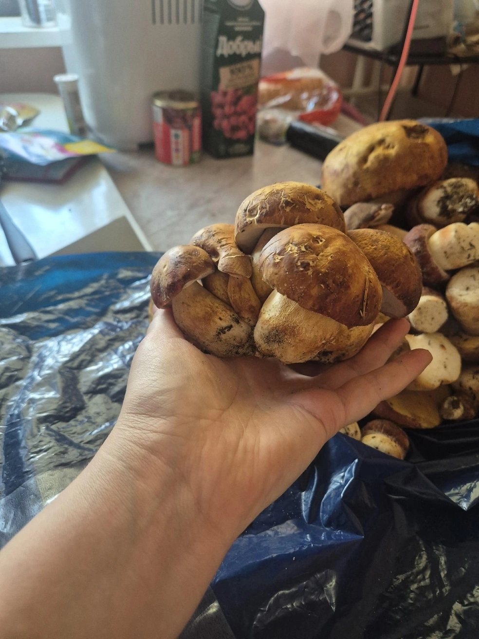 Источник: Дарья Журавлева / личный архив