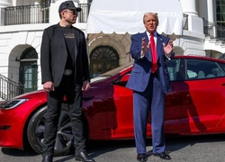 Падение прибыли на 71%: работа Маска в администрации Трампа привела к кризису Tesla