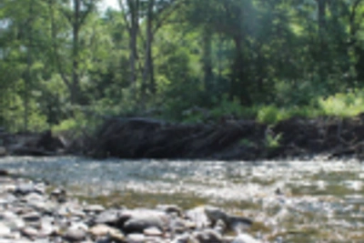 Уголовное дело за рыбалку коренных народов Приморья прекращено, но штраф назначен