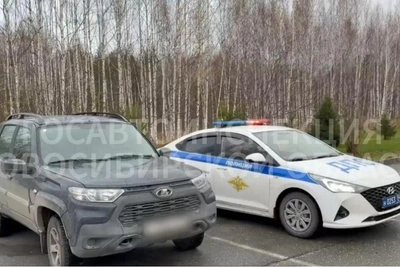 В Новосибирске наказали водителя «Нивы», проехавшего по ступенькам