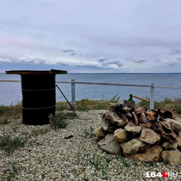 Источник: Виктория Федорова / 164.RU