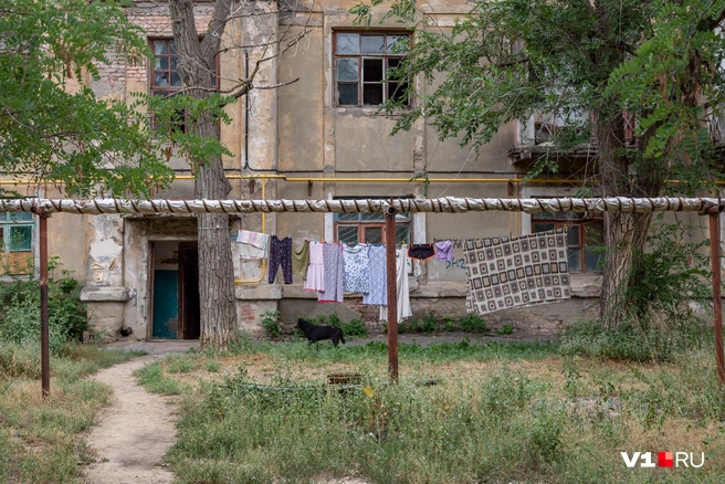 Пейзаж больше напоминает сельский двор, нежели район в 20 минутах от центра города | Источник: Константин Завриков / V1.RU