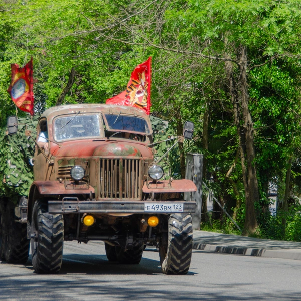 Источник: Оксана Витязь