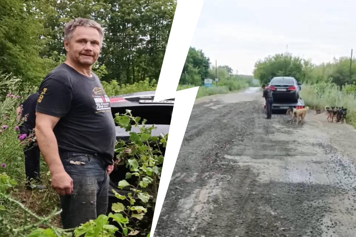 36 агрессивных собак сбежали из приюта. Причем тут дядя Вова