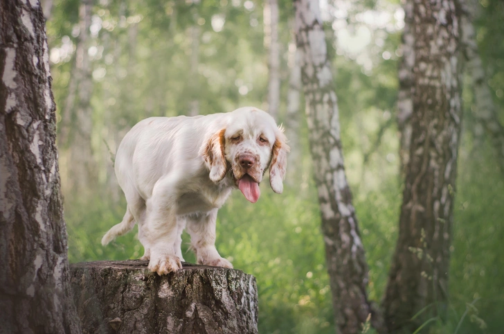 Источник: Ksenia Izmaylova&nbsp;via&nbsp;Shutterstock/Fotodom.ru