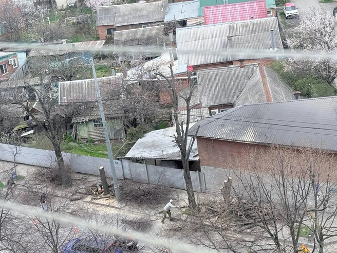 Теперь здесь совсем не будет тени | Источник: МЦУ Краснодар комментарии / T.me
