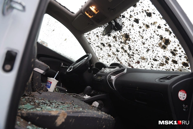 Источник: Дмитрий Толстошеев / MSK1.RU