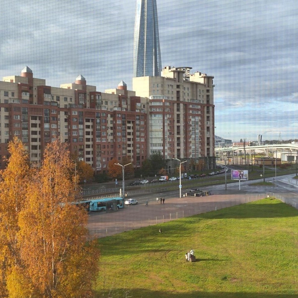 На Савушкина столкнулись два лазурных автобуса. Трое госпитализированы | Источник: Мегаполис | ДТП и ЧП | Санкт-Петербург | Питер💡/ Telegram