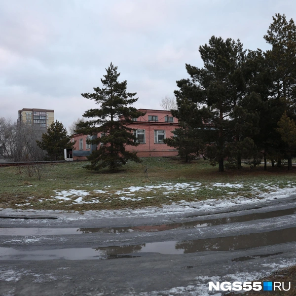 Еще один кадр с территории | Источник: Евгений Софийчук / NGS55.RU