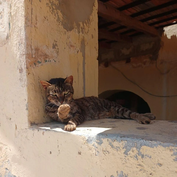 Источник: Николай Михалев