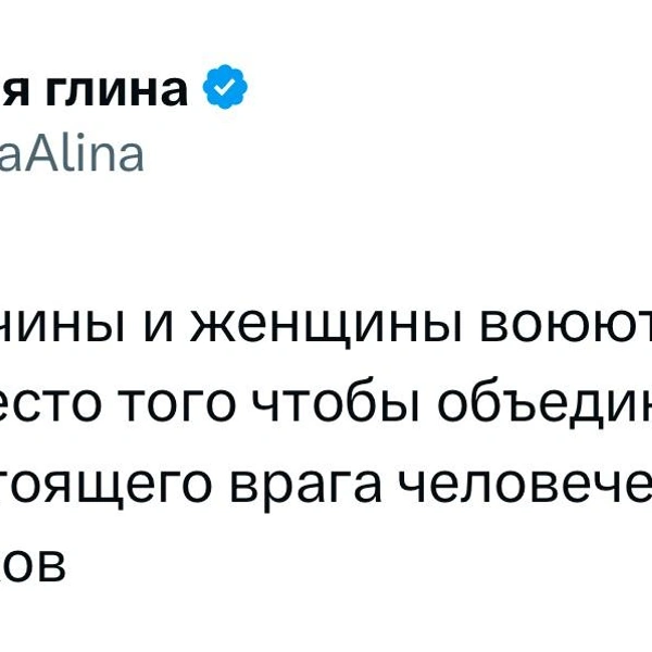 Источник: X (Twitter)