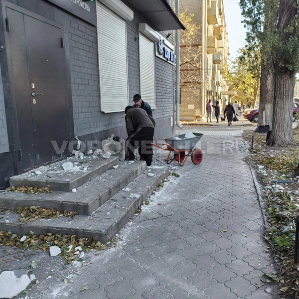 Источник: Андрей Пашинский / Voronezh1.ru