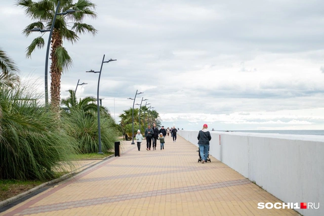 Погода в Сочи на ноябрьские праздники обещает быть теплой | Источник: Анна Грицевич / SOCHI1.RU