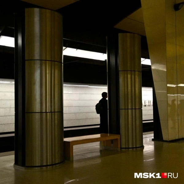 Источник: Дарья Шутова / MSK1.RU