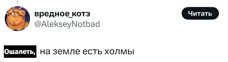 Источник: X (Twitter)