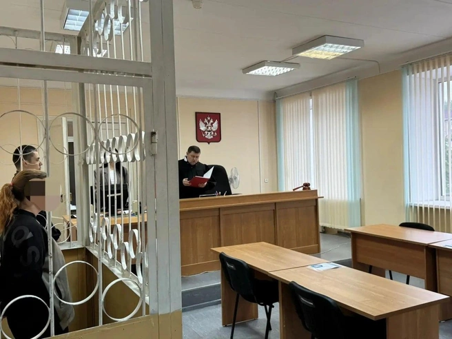 Женщину отправили в колонию на 3,5 года | Источник: пресс-служба судов Свердловской области
