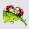 userpic__annagulyayeva