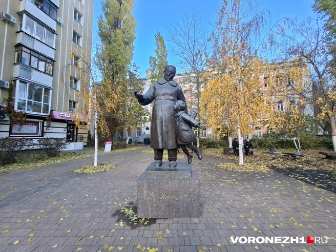 Источник: Алена Воропаева / Voronezh1.ru