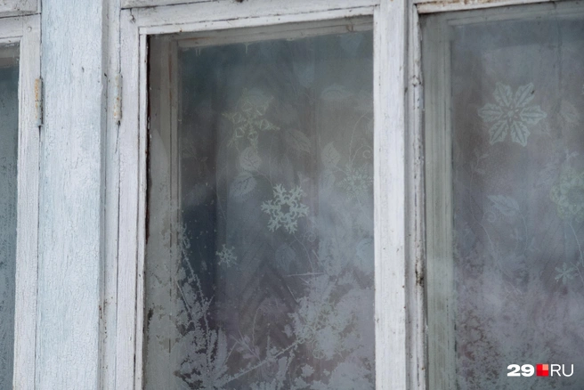 Источник: Иван Митюшёв / 29.RU