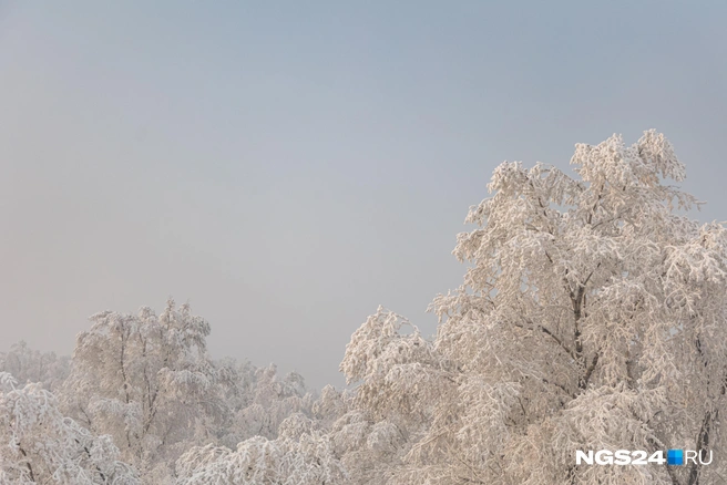 По прогнозу должно потеплеть до -4 градусов | Источник: Мария Ленц / NGS24.RU