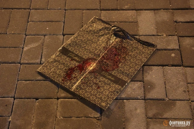 Источник: Сергей Михайличенко/«Фонтанка.ру»