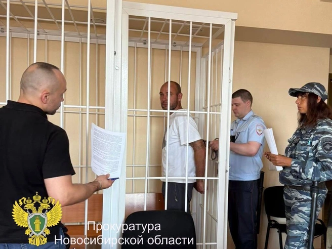 Дорожно-транспортное происшествие случилось 14 июня, а обвиняемый скрывался на протяжении двух недель | Источник: по информации прокуратуры Новосибирской области