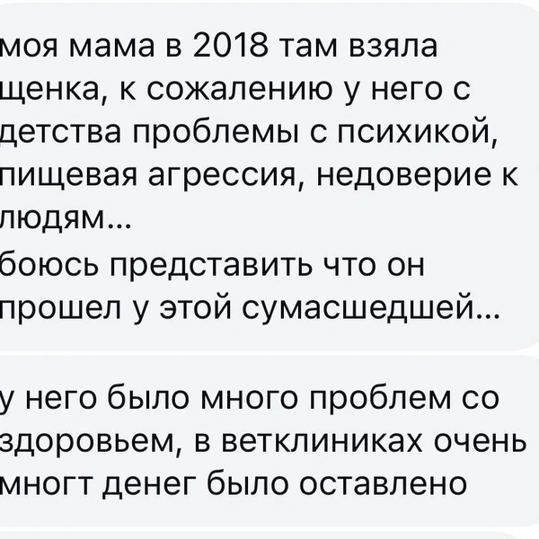 Источник: Софья Шмакова / Vk.com