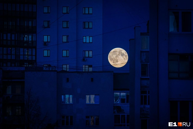 По словам бизнесмена, летать на Луну можно будет каждые 10 дней | Источник: Владислав Лоншаков / E1.RU