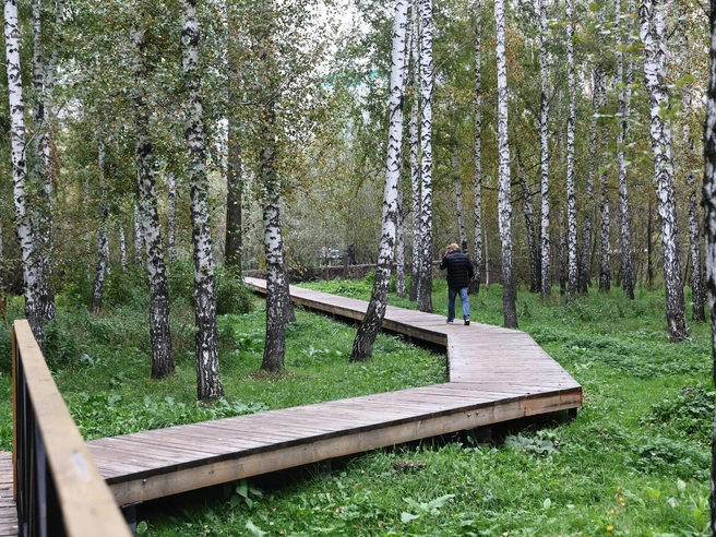 Раньше здесь была промзона | Источник: Александр Ощепков / NGS.RU