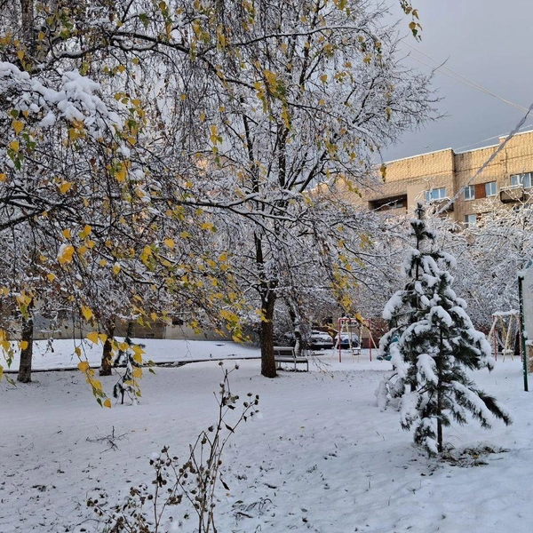 Источник: читатель «Фонтанки»